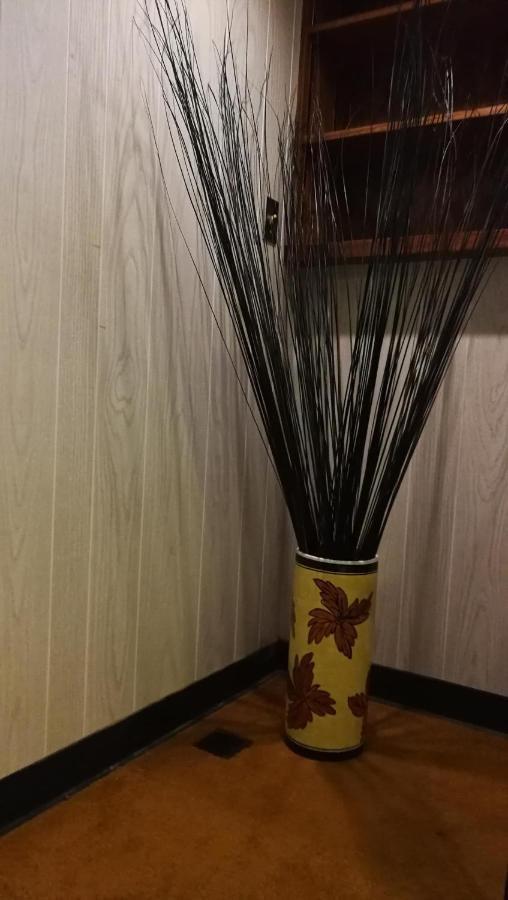 Séjour chez l'habitant East *